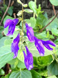 201209261