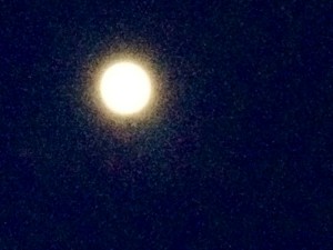 201210023