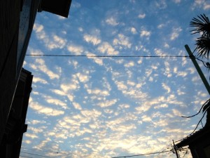 201210165