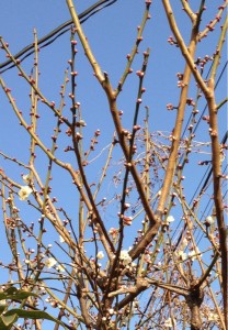201302193