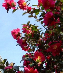 201302262