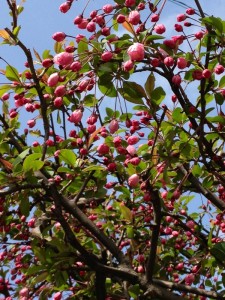 20130326