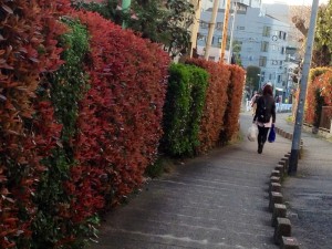 201303263