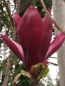 201304022
