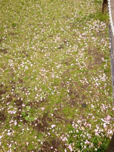 201304162