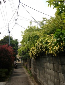 201304165