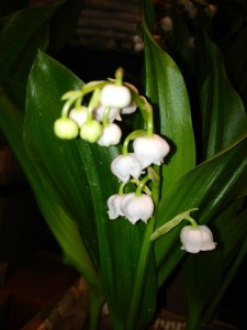201304172