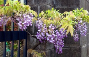 201304215