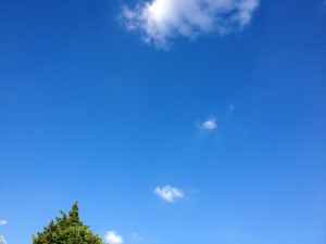 201304232