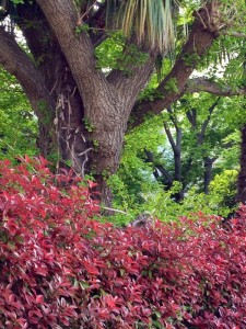 201304233