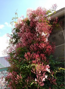 201304301