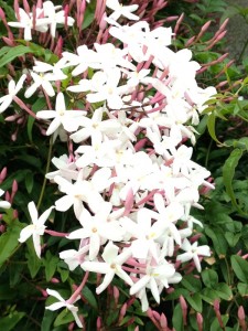 201305032
