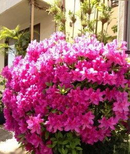 201305034