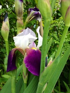 201305051