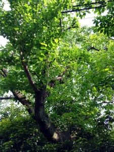 201305072