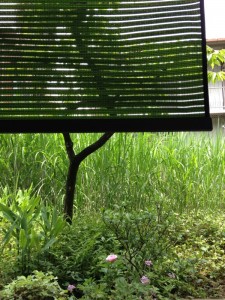 201305282