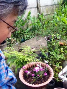 201305283