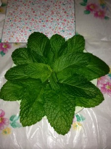 201106114