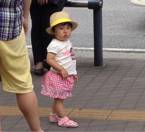 201306113