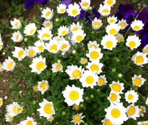 201306184