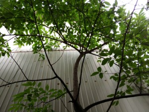 201307092
