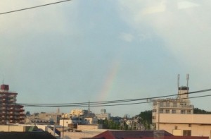 201307095