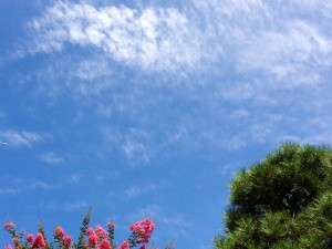 201307245