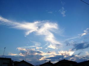 201308133