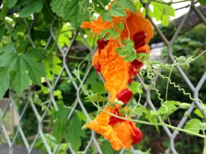 201308274