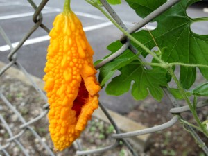 201308275