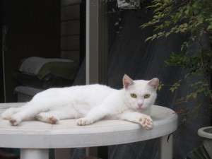 201309012