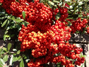 201312034