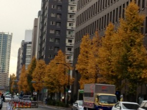 201312104