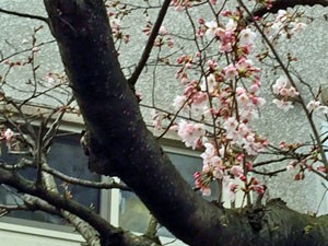 IMG_0511