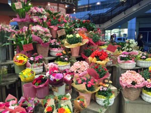 IMG_0656