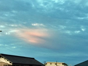 IMG_0834