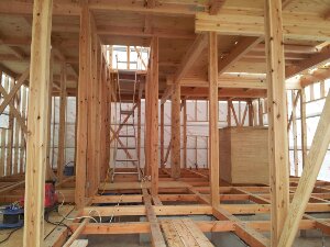 20150619_092538.jpg image